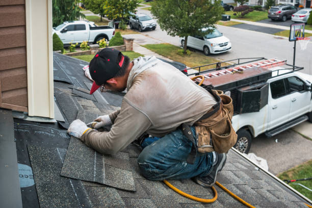 Professional Storm Damage Roof Repair technician working in Campus, IL